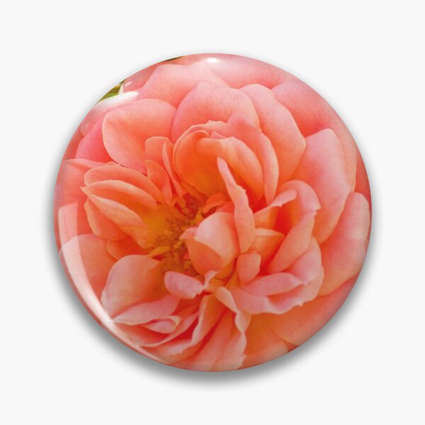 Item preview, Peach Rose designed and sold by ellenmpics.
