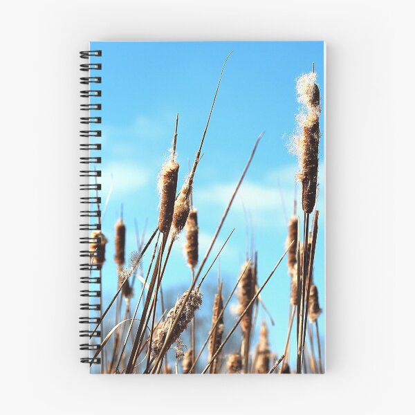 Item preview, Cattails on a Beautiful Day designed and sold by bloomsbyamy.