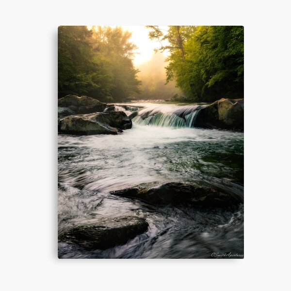 Greenbrier River - Great Smoky Mountains National Park Canvas Print