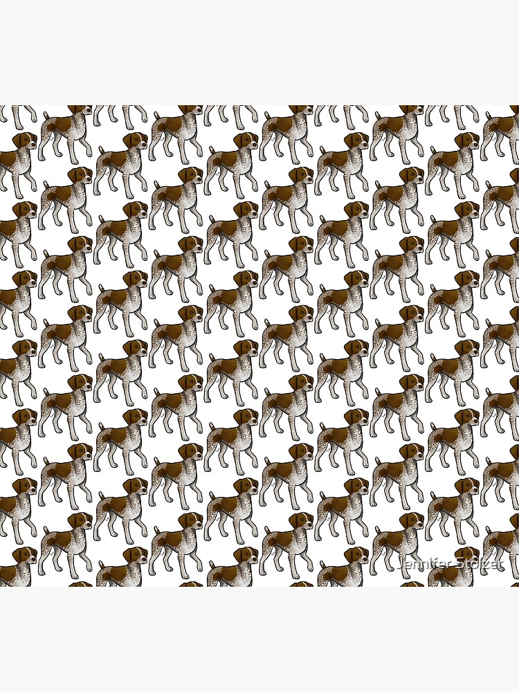 German Shorthaired Pointer by jameson9101322