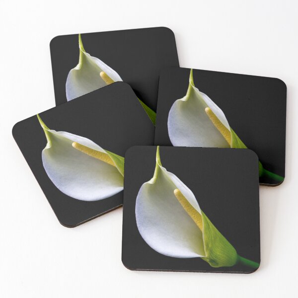 Item preview, Arum Lily. designed and sold by John Ray.