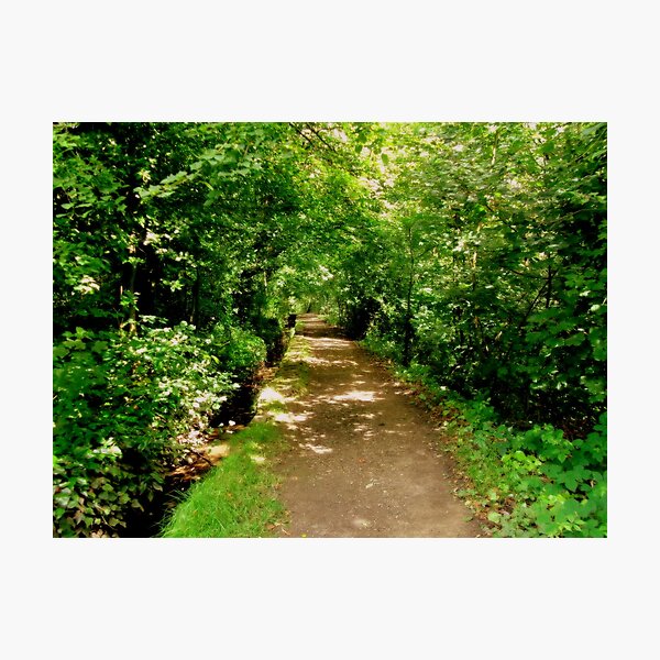 A walk in the shade... Photographic Print