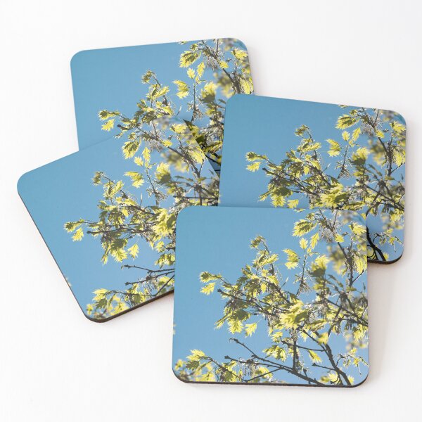 Item preview, Branches and blue sky designed and sold by carolmaia.