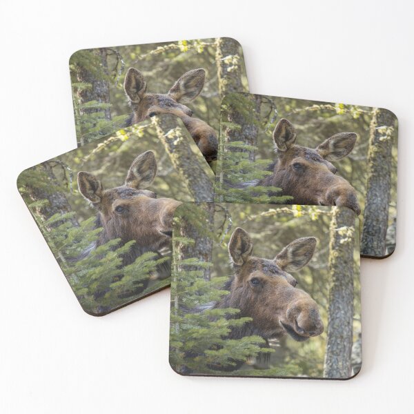 Artikelvorschau, Elch im Grand Teton National Park entworfen und verkauft von The Artful Finch.