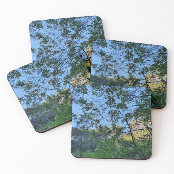 Item preview, Colorful Spring Forest, Natural Landscape of Provence Photography  designed and sold by Versatill.