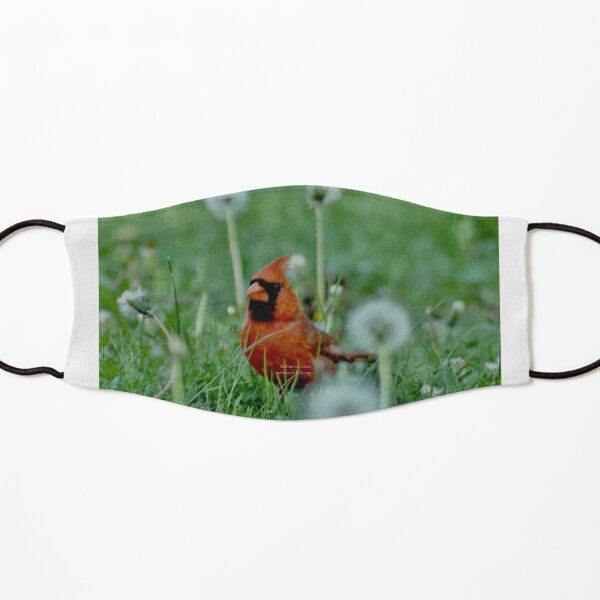The mystical Cardinal By Yannis Lobaina Kids Mask
