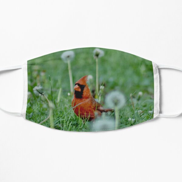 The mystical Cardinal By Yannis Lobaina Mask