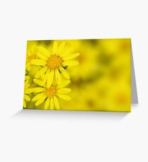 Summer Garden Greeting Card