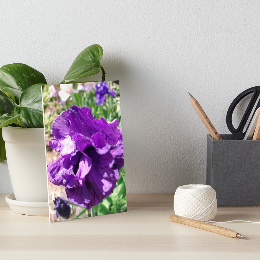 Item preview, Art Board Print designed and sold by xanthriah.