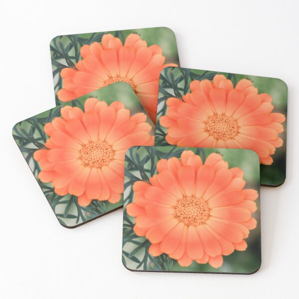 Item preview,  Calendula. designed and sold by John Ray.
