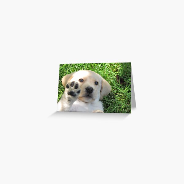 Let's Play! Greeting Card