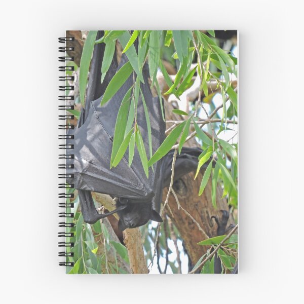 Item preview, Black Flying Fox, Ord River, Western Australia designed and sold by Margaret  Hyde.