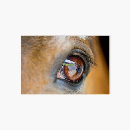 All the better to see you with Art Board Print