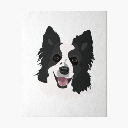 Artikel-Vorschau von Schwarzweiss-Rand-Collie-Hundegesichtszeichnung, designt und verkauft von simonescha.
