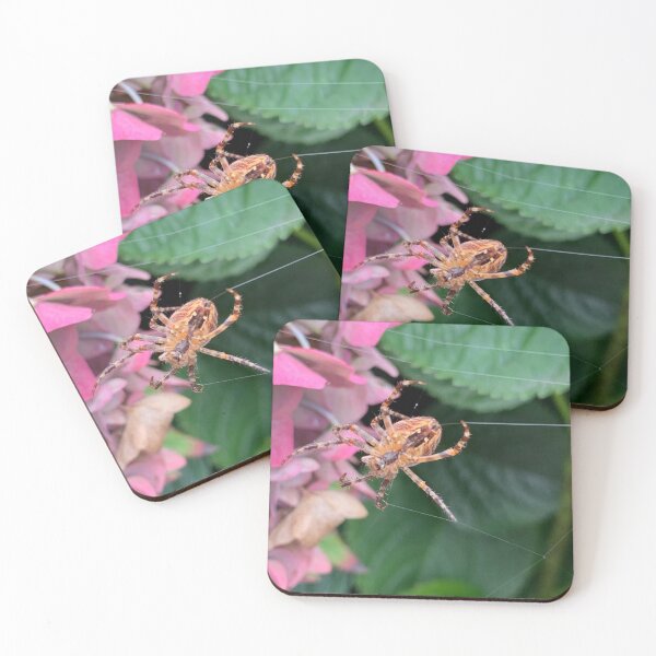 Item preview, Spider and flower designed and sold by Jennco60.
