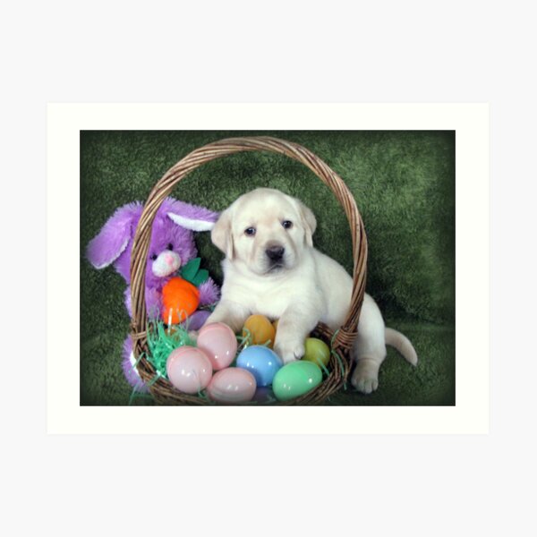 Easter? There's nothing to eat! Art Print