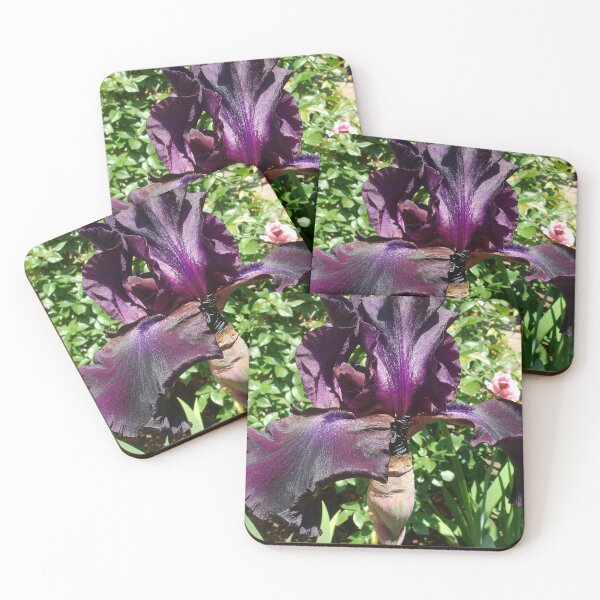 Item preview, Queen of the Nile designed and sold by Tamara McDonnell.