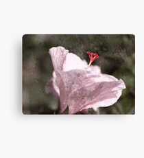 Hibiscus Canvas Print
