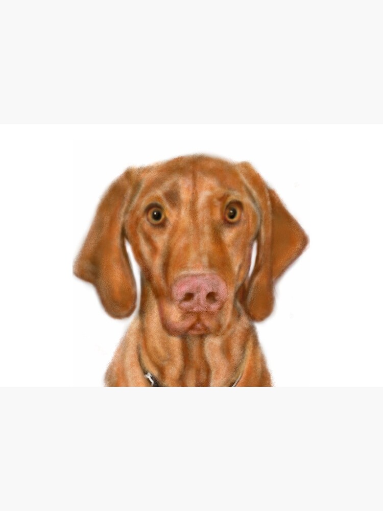 Young Handsome Vizsla Puppy Digital Art by LITDigitalArt