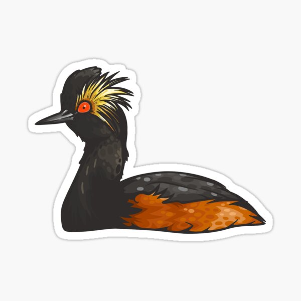 Eared Grebe Sticker