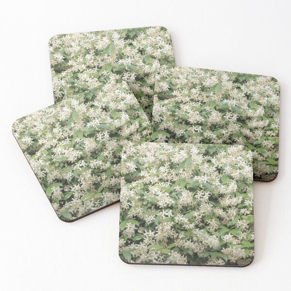 Aperçu de l'œuvre fleurs de jasmin blanc - 0194384 créée et vendue par Costas Aggelakis.