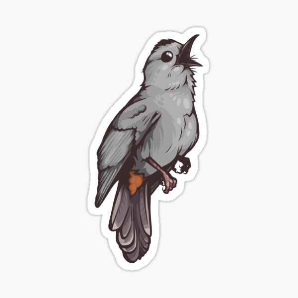 Grey Catbird Sticker