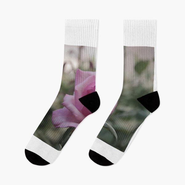 Item preview, a beautifull rose - 0194374 designed and sold by Costas Aggelakis.