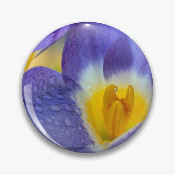 Item preview, Crocus. designed and sold by John Ray.