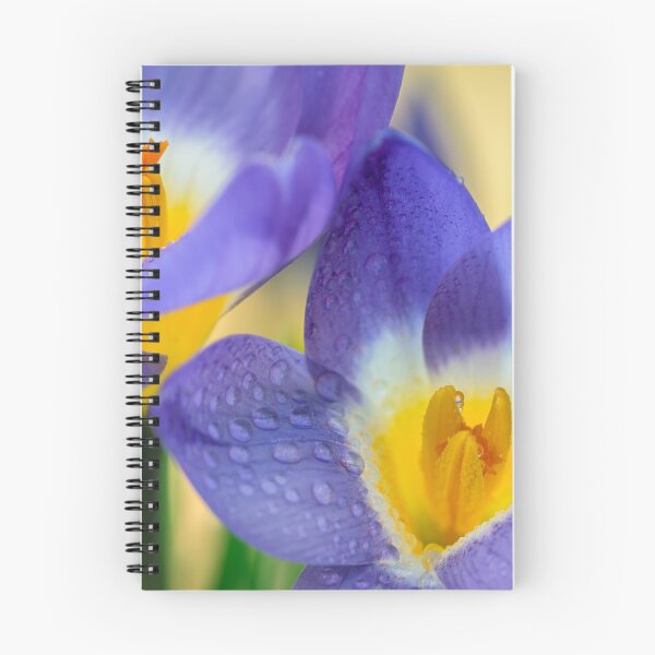 Item preview, Crocus. designed and sold by John Ray.