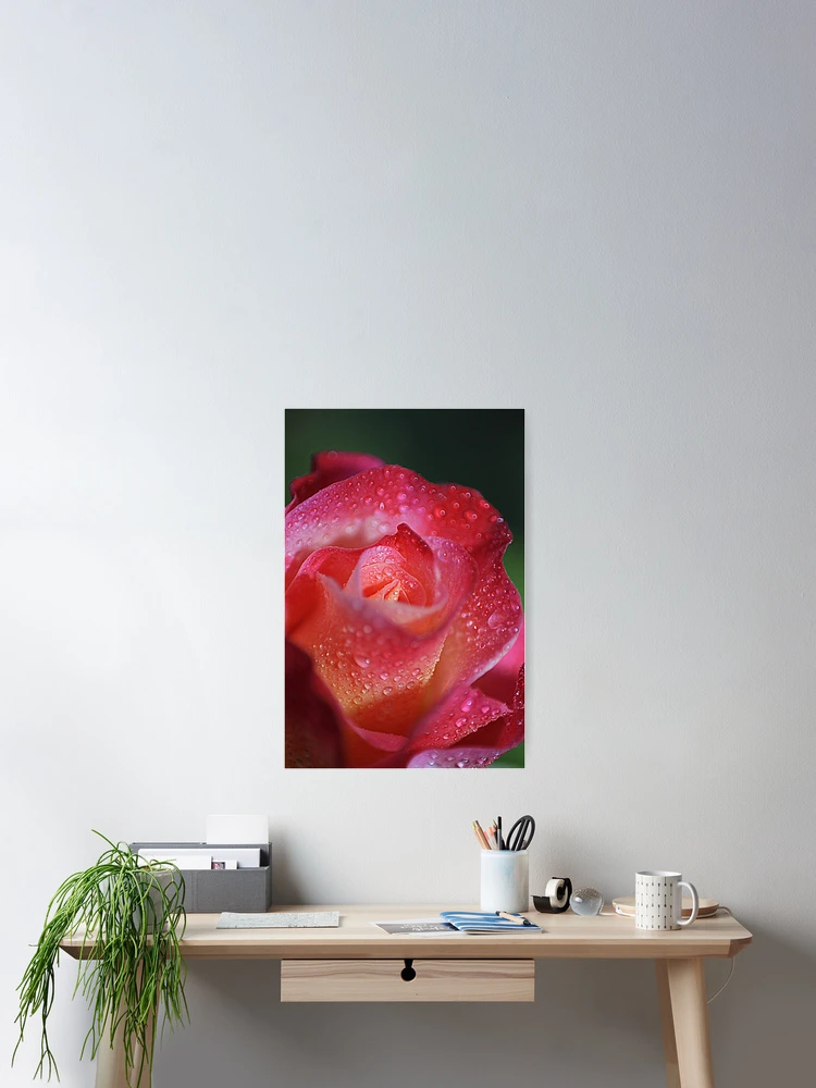 Thumbnail 2 of 3, Poster, Spring Beauty designed and sold by RobsVisions.