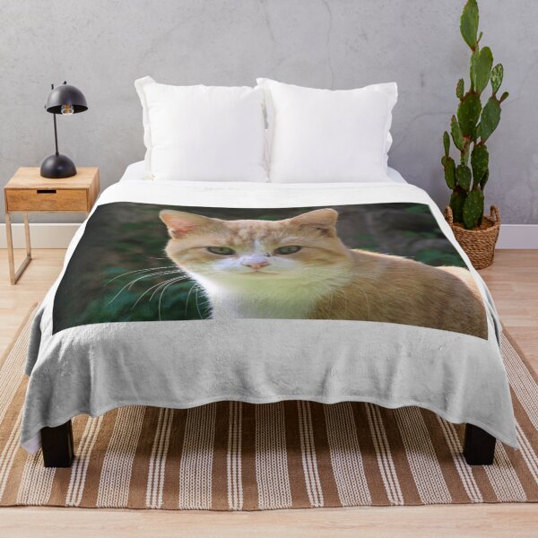 Item preview, a cat's head - 0087063 designed and sold by Costas Aggelakis.