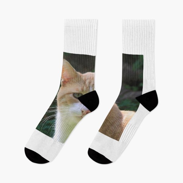 Item preview, a cat's head - 0087063 designed and sold by Costas Aggelakis.