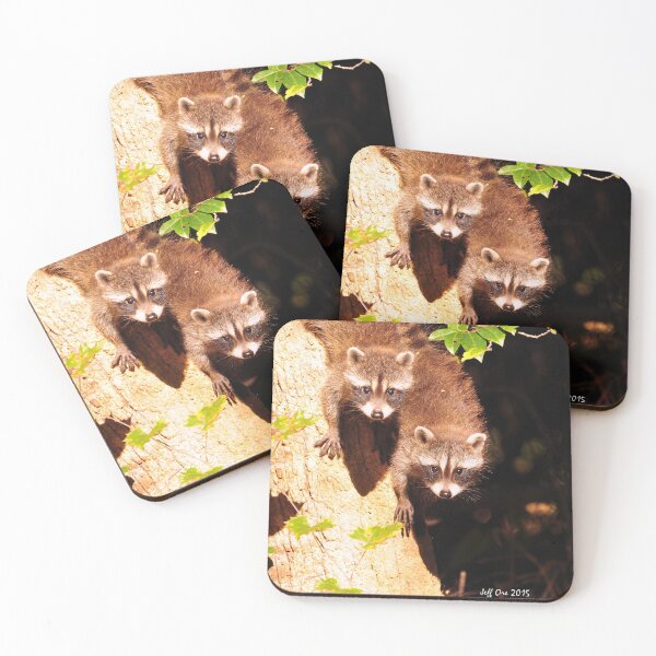 Item preview, Baby Raccoons (Procyon lotor) designed and sold by Jeff Ore.