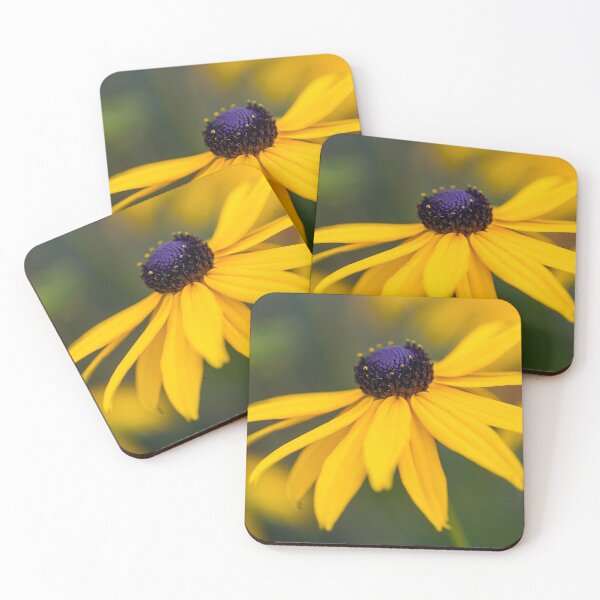 Item preview,  Rudbeckia Bloom. designed and sold by John Ray.