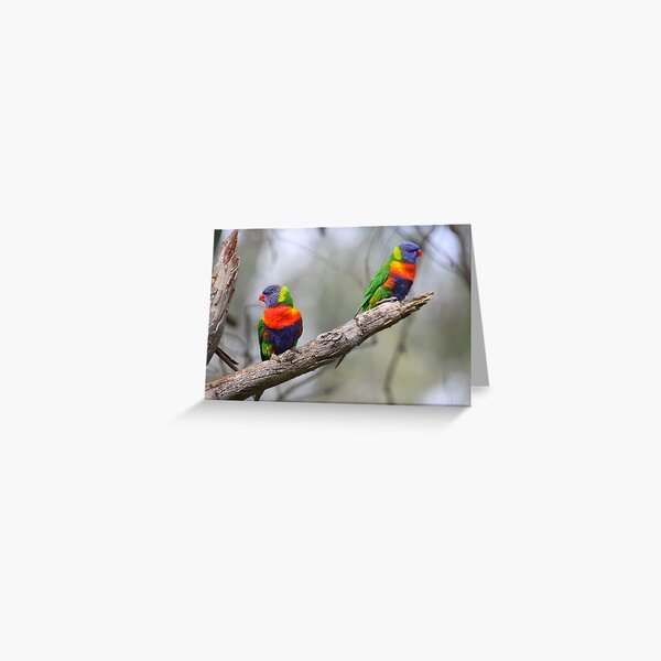 Flying Rainbows Greeting Card