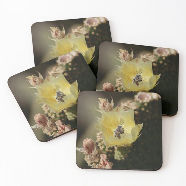 Item preview, Opuntia Hymenoptera designed and sold by HausHatfield.