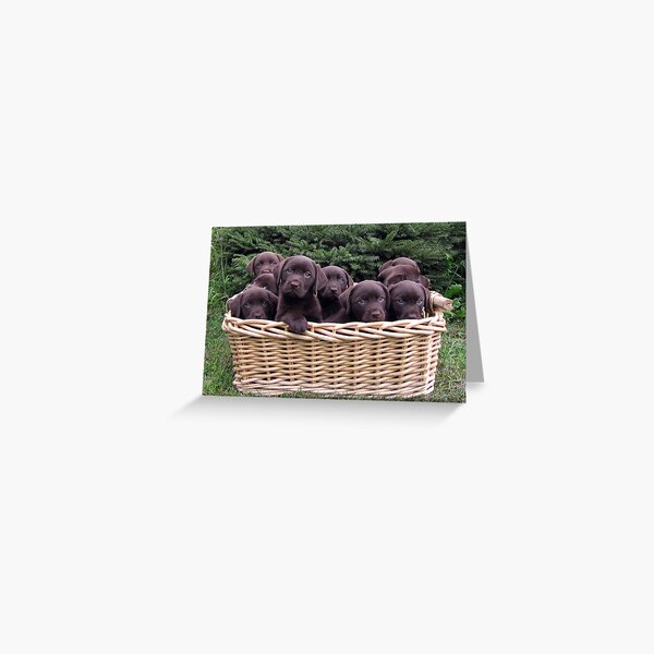 A basket of Chocolates! Greeting Card