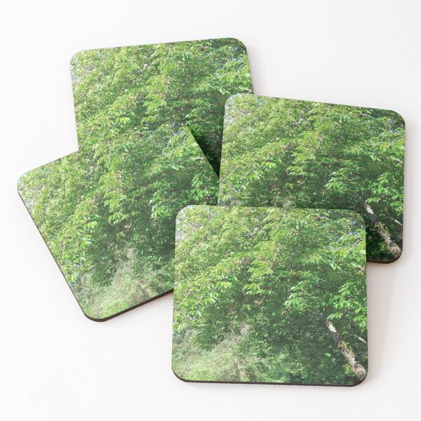 Item preview, Hiding designed and sold by Tamara McDonnell.