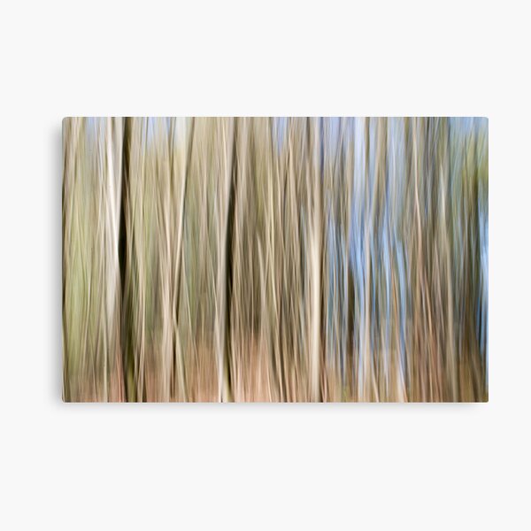 Movement Canvas Print