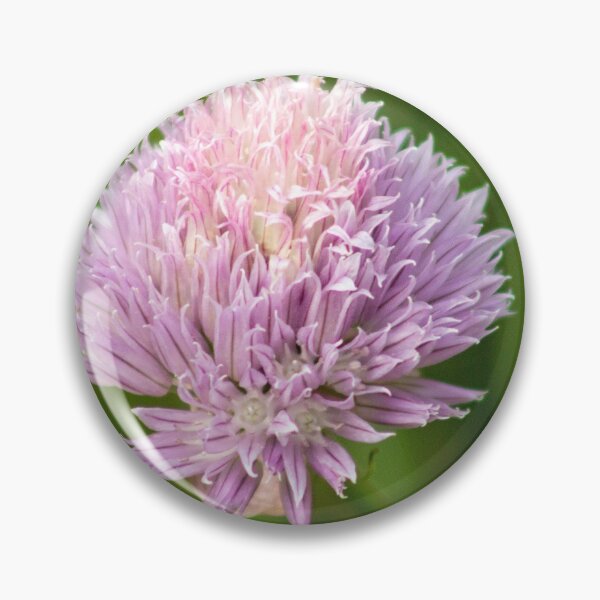 Item preview, In Bloom designed and sold by ellenmpics.