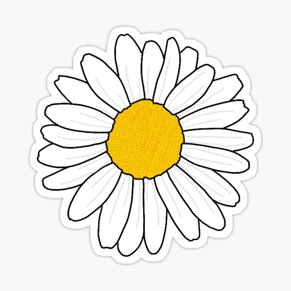 White Daisy Sticker