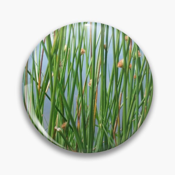 Item preview, The Lake designed and sold by Tamara McDonnell.