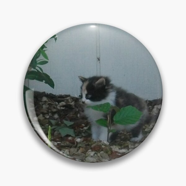 Item preview, Kitten designed and sold by Tamara McDonnell.