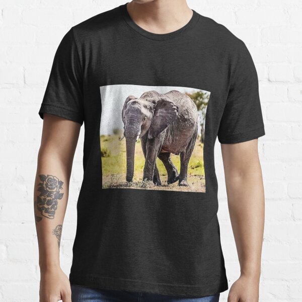 birthday gifts for elephant lovers