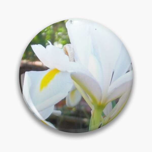 Item preview, White Dutch Irises designed and sold by Tamara McDonnell.
