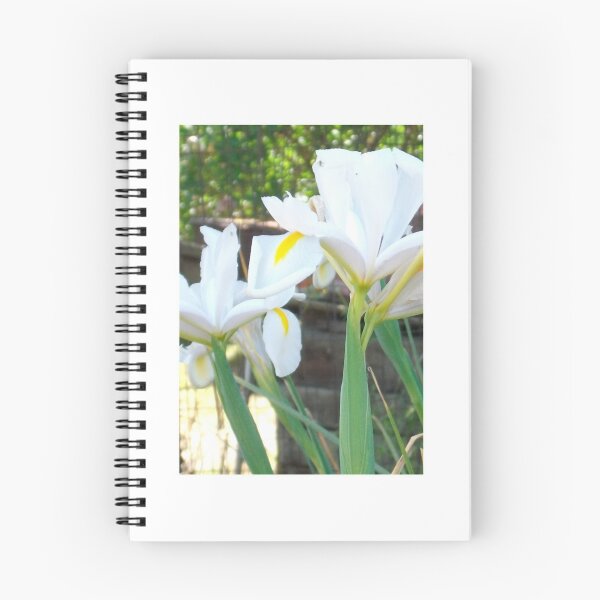 Item preview, White Dutch Irises designed and sold by Tamara McDonnell.