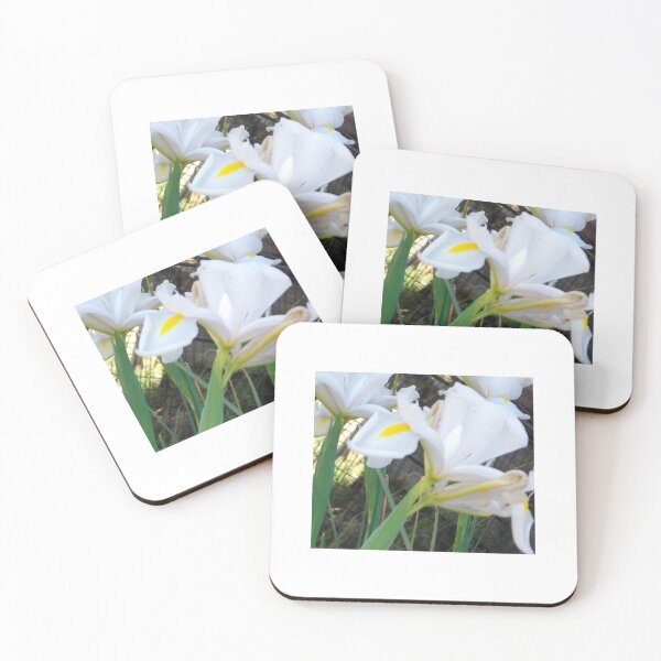 Item preview, White Dutch Iris designed and sold by Tamara McDonnell.