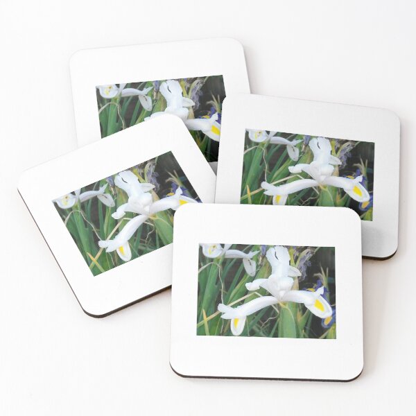 Item preview, White Dutch Iris designed and sold by Tamara McDonnell.