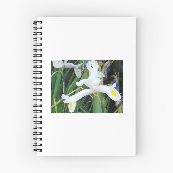 Item preview, White Dutch Iris designed and sold by Tamara McDonnell.