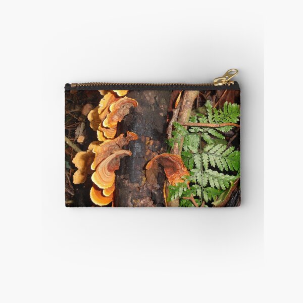 Item preview, Fungi And Fern Frond, Minnamurra Rainforest, Budderoo National Park, Australia. designed and sold by kaysharp.